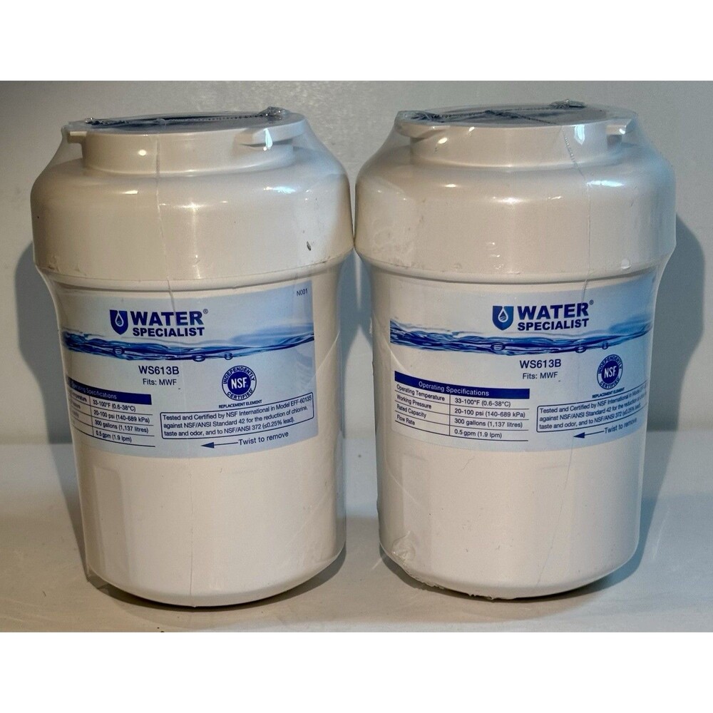 Waterspecialist WS613B – GE MWF, SmartWater, MWFP Replacement Filters 2-Pack New
